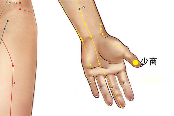 少商穴的准确位置图和作用 功效 图片 乡间郎中