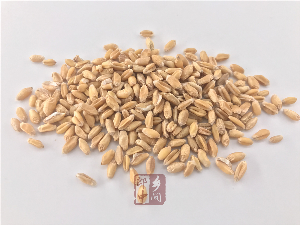 浮小麦的功效与作用及禁忌-食用方法-怎么吃-副作用