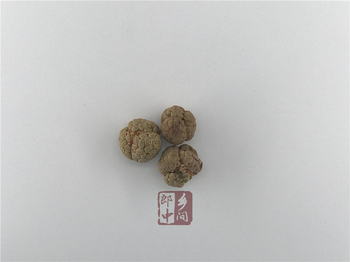 草豆蔻的功效與作用及禁忌-食用方法