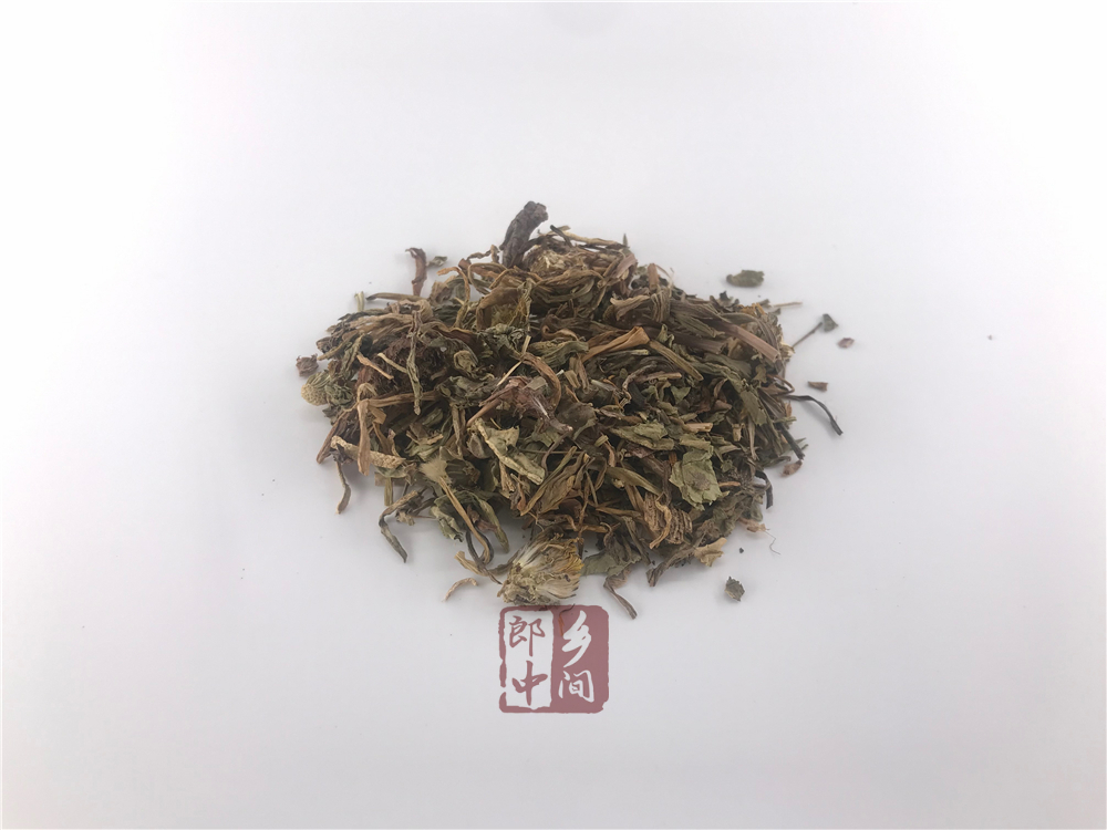 蒲公英