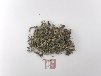 紫花地丁的功效与作用 图片 禁忌 乡间郎中