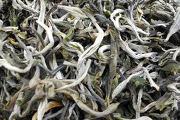凤尾茶